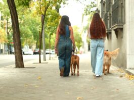 Así quiere el Ayuntamiento de Alcorcón rediseñar la ciudad para que sea más segura y cómoda para las mujeres Así quiere el Ayuntamiento de Alcorcón rediseñar la ciudad para que sea más segura y cómoda para las mujeres