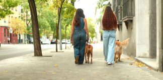 Así quiere el Ayuntamiento de Alcorcón rediseñar la ciudad para que sea más segura y cómoda para las mujeres