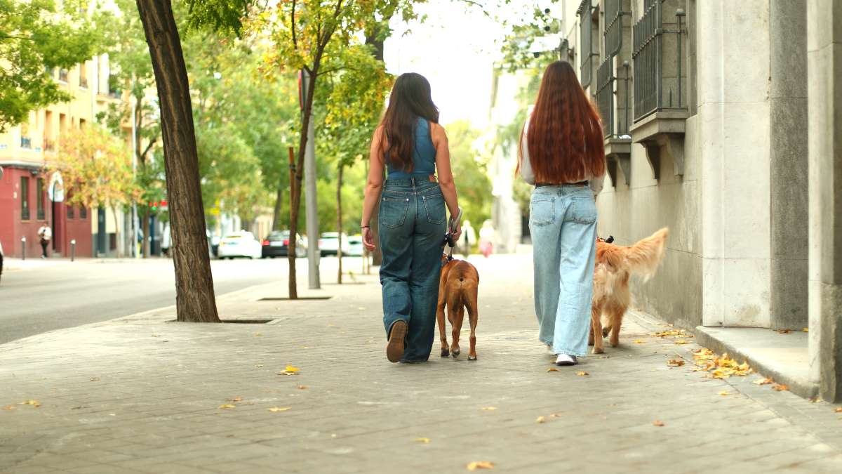 Así quiere el Ayuntamiento de Alcorcón rediseñar la ciudad para que sea más segura y cómoda para las mujeres Así quiere el Ayuntamiento de Alcorcón rediseñar la ciudad para que sea más segura y cómoda para las mujeres