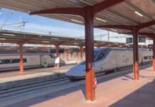 Varios maquinistas rinden homenaje en Chamartín a Pablo, vecino de Alcorcón fallecido en Adamuz