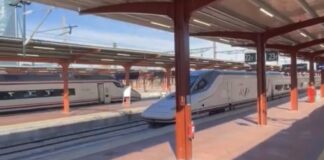 Varios maquinistas rinden homenaje en Chamartín a Pablo, vecino de Alcorcón fallecido en Adamuz