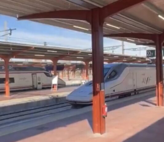 Varios maquinistas rinden homenaje en Chamartín a Pablo, vecino de Alcorcón fallecido en Adamuz