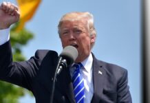 La ventana de Alcorcón: Súper Trump