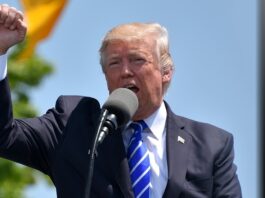 La ventana de Alcorcón: Súper Trump