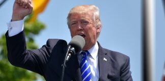 La ventana de Alcorcón: Súper Trump