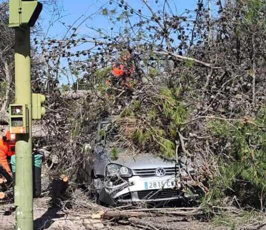 El sábado dejó varios sustos en Alcorcón: árboles arrancados y avisos por olor a gas
