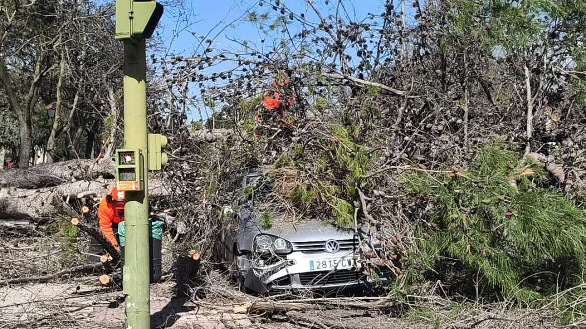 El sábado dejó varios sustos en Alcorcón: árboles arrancados y avisos por olor a gas