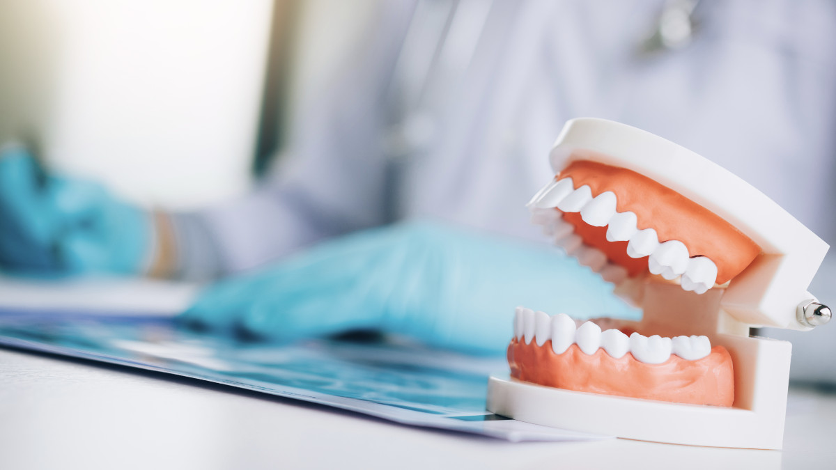 Alcorcón ofrecerá revisiones dentales gratuitas a 500 estudiantes