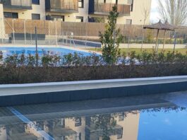 El Plan Vive de Alcorcón, cuestionado: fallos graves y precios abusivos