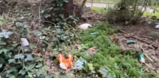 Llegan movimientos y soluciones al conflicto de Parque Mayor en Alcorcón