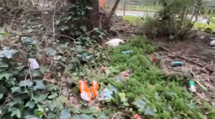 Llegan movimientos y soluciones al conflicto de Parque Mayor en Alcorcón Llegan movimientos y soluciones al conflicto de Parque Mayor en Alcorcón