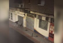 Pelea con lanzamiento de piedras ante un supuesto narcolocal en Alcorcón