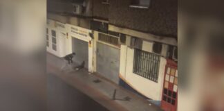 Pelea con lanzamiento de piedras ante un supuesto narcolocal en Alcorcón