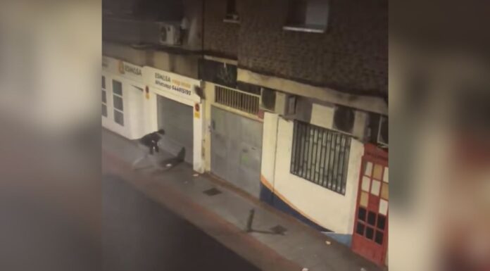 Pelea con lanzamiento de piedras ante un supuesto narcolocal en Alcorcón