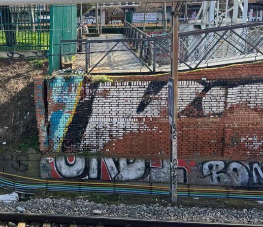 El Partido Popular pide una auditoria urgente y un plan de choque sobre Cercanías a su paso por Alcorcón