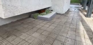 Capítulo dos en las quejas sobre Parque Mayor: los vecinos de Alcorcón piden soluciones urgentes