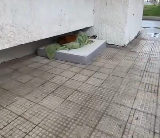 Capítulo dos en las quejas sobre Parque Mayor: los vecinos de Alcorcón piden soluciones urgentes