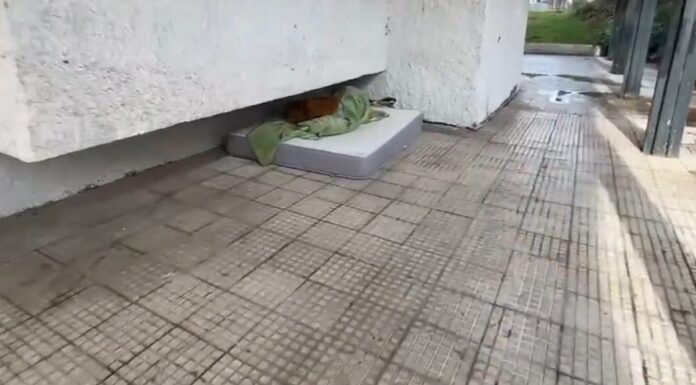 Capítulo dos en las quejas sobre Parque Mayor: los vecinos de Alcorcón piden soluciones urgentes