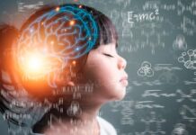 De la teoría a la práctica: cómo la neuroeducación en Casvi Villaviciosa prepara a los líderes del futuro cerca de Alcorcón De la teoría a la práctica: cómo la neuroeducación en Casvi Villaviciosa prepara a los líderes del futuro cerca de Alcorcón