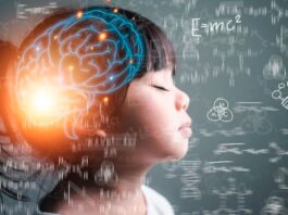 De la teoría a la práctica: cómo la neuroeducación en Casvi Villaviciosa prepara a los líderes del futuro cerca de Alcorcón