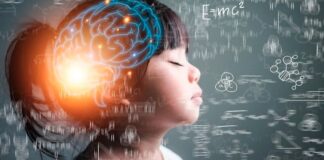 De la teoría a la práctica: cómo la neuroeducación en Casvi Villaviciosa prepara a los líderes del futuro cerca de Alcorcón