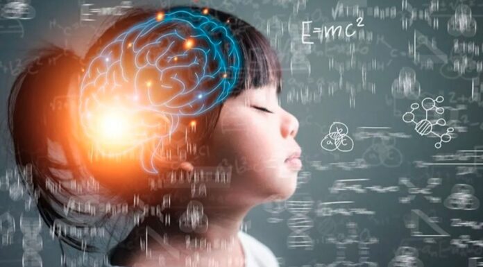 De la teoría a la práctica: cómo la neuroeducación en Casvi Villaviciosa prepara a los líderes del futuro cerca de Alcorcón