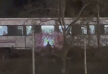 Un grupo de grafiteros obliga a detener un tren en Alcorcón