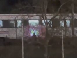 Un grupo de grafiteros obliga a detener un tren en Alcorcón