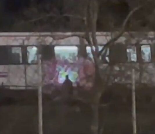 Un grupo de grafiteros obliga a detener un tren en Alcorcón