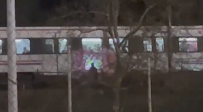 Un grupo de grafiteros obliga a detener un tren en Alcorcón