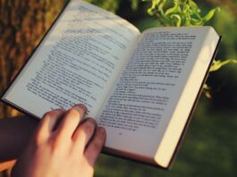 Día del libro en Alcorcón