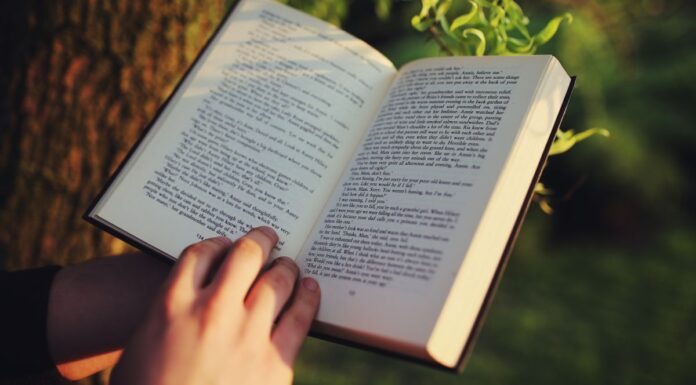 Día del libro en Alcorcón