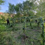 Desmantelan un asentamiento ilegal en Alcorcón: cuatro personas vulnerables implicadas incluyendo un menor