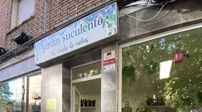 Otro cierre en Alcorcón: Jardín Suculento bajará la persiana al finalizar el mes de abril Otro cierre en Alcorcón: Jardín Suculento bajará la persiana al finalizar el mes de abril
