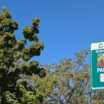 Alcorcón se convierte en el epicentro de la movilidad sostenible nacional
