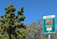 Alcorcón se convierte en el epicentro de la movilidad sostenible nacional