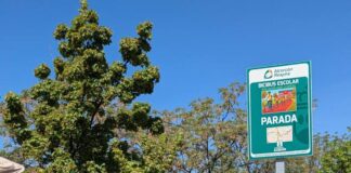 Alcorcón se convierte en el epicentro de la movilidad sostenible nacional