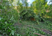 Desmantelan un asentamiento ilegal en Alcorcón: cuatro personas vulnerables implicadas incluyendo un menor