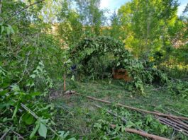 Desmantelan un asentamiento ilegal en Alcorcón: cuatro personas vulnerables implicadas incluyendo un menor