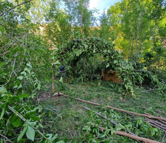 Desmantelan un asentamiento ilegal en Alcorcón: cuatro personas vulnerables implicadas incluyendo un menor