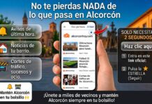 Cómo no perderte ninguna noticia de Alcorcón siguiendo a alcorconhoy.com en Google News