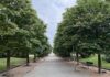 El Parque de la Ribota renueva su imagen y gana atractivo en Alcorcón