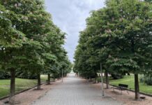 El Parque de la Ribota renueva su imagen y gana atractivo en Alcorcón