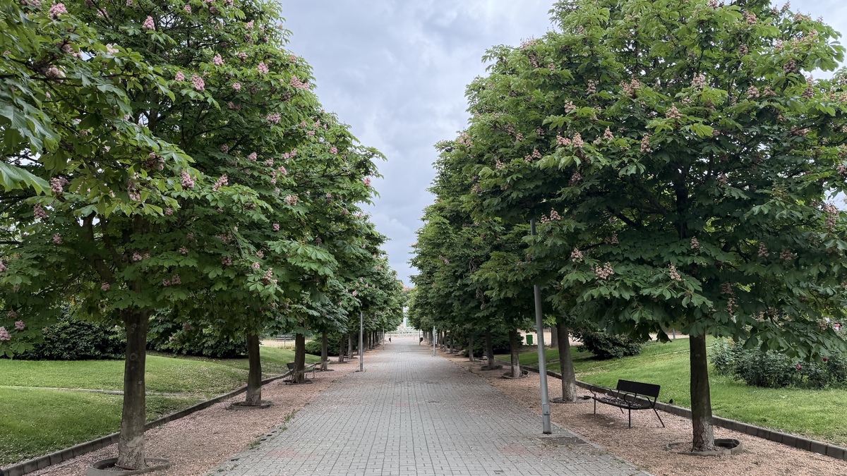 El Parque de la Ribota renueva su imagen y gana atractivo en Alcorcón
