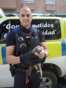 Un conductor estrella su coche a las puertas de un centro escolar en Alcorcón y da positivo en alcohol y drogas