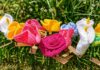 Un jardĆn de flores tejidas por la igualdad en el Parque Alfredo Nobel de Alcorcón: podcast alcorconhoy Tejiendo solidaridad en Alcorcón