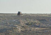 Ecologistas en Acción denuncia una “grave crisis ambiental” en el norte de Alcorcón Ecologistas en Acción denuncia una “grave crisis ambiental“ en el norte de Alcorcón