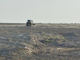 Ecologistas en Acción denuncia una “grave crisis ambiental“ en el norte de Alcorcón