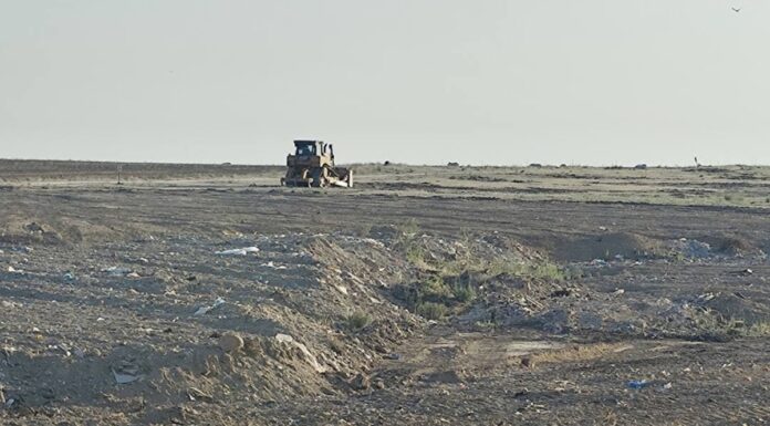 Ecologistas en Acción denuncia una “grave crisis ambiental“ en el norte de Alcorcón