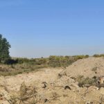 Ecologistas en Acción denuncia una “grave crisis ambiental“ en el norte de Alcorcón
